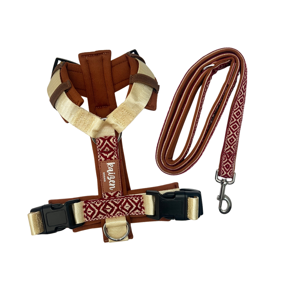 Pack AHORRO colección ÍNDIGO