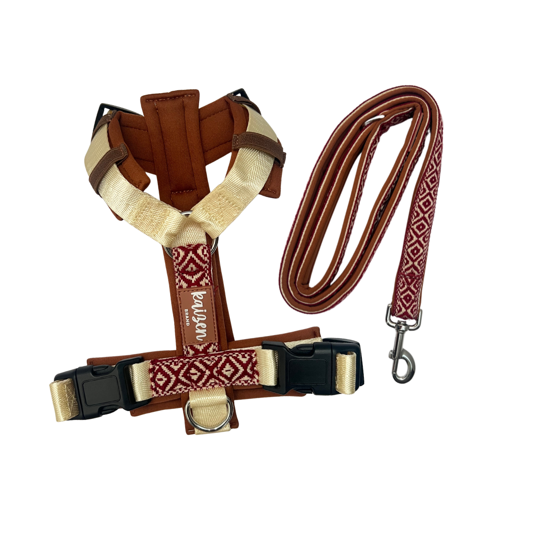 Pack AHORRO colección ÍNDIGO