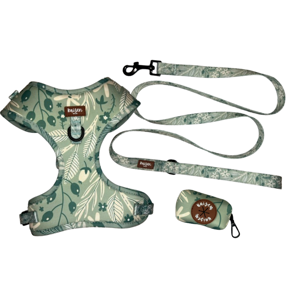 PACK AHORRO colección MINT MEADOWS completo