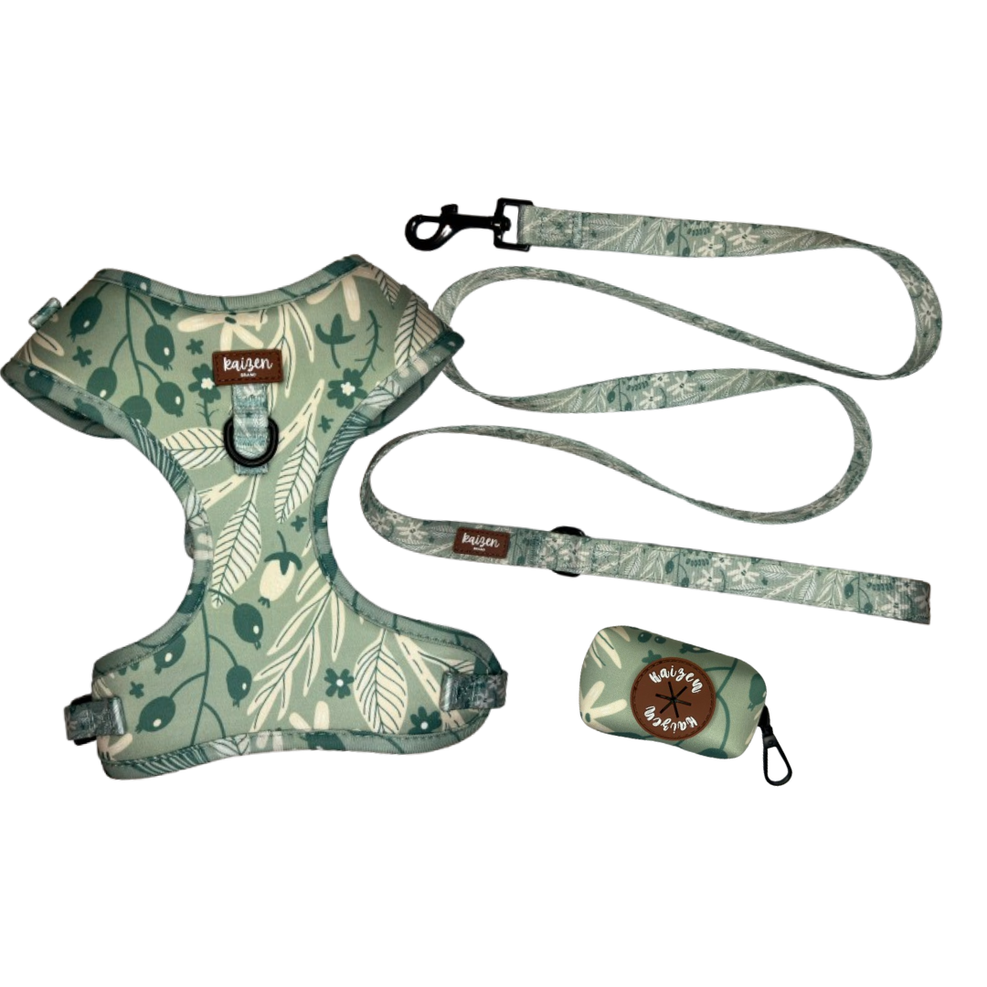 PACK AHORRO colección MINT MEADOWS completo