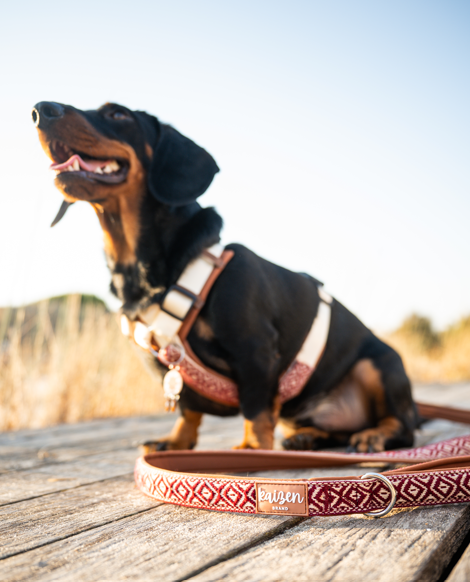 Arnés colección ÍNDIGO