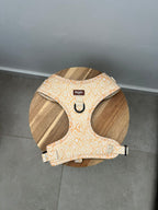 Arnés colección SIENNA