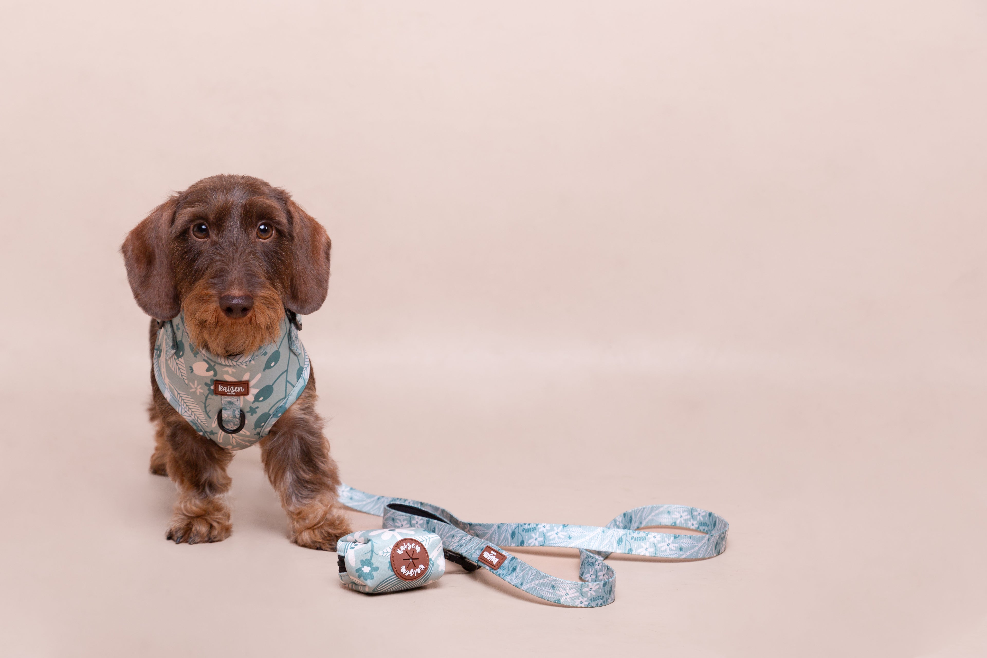 Arnés colección MINT MEADOWS