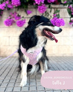 Arnés colección TERRAZZO