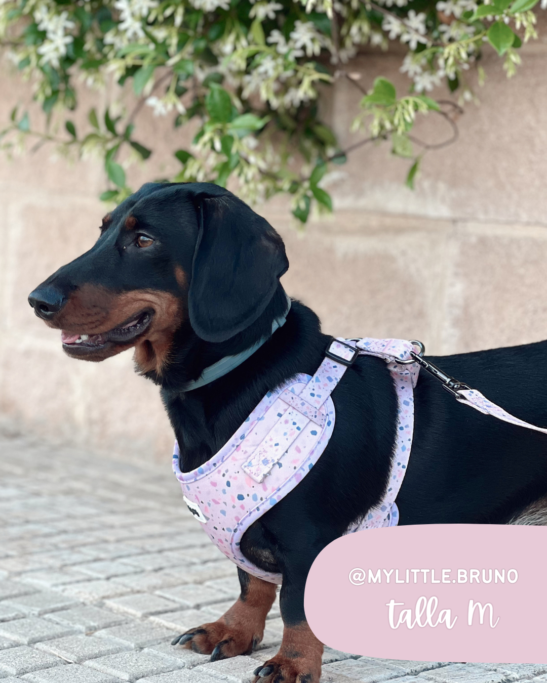 Arnés colección TERRAZZO