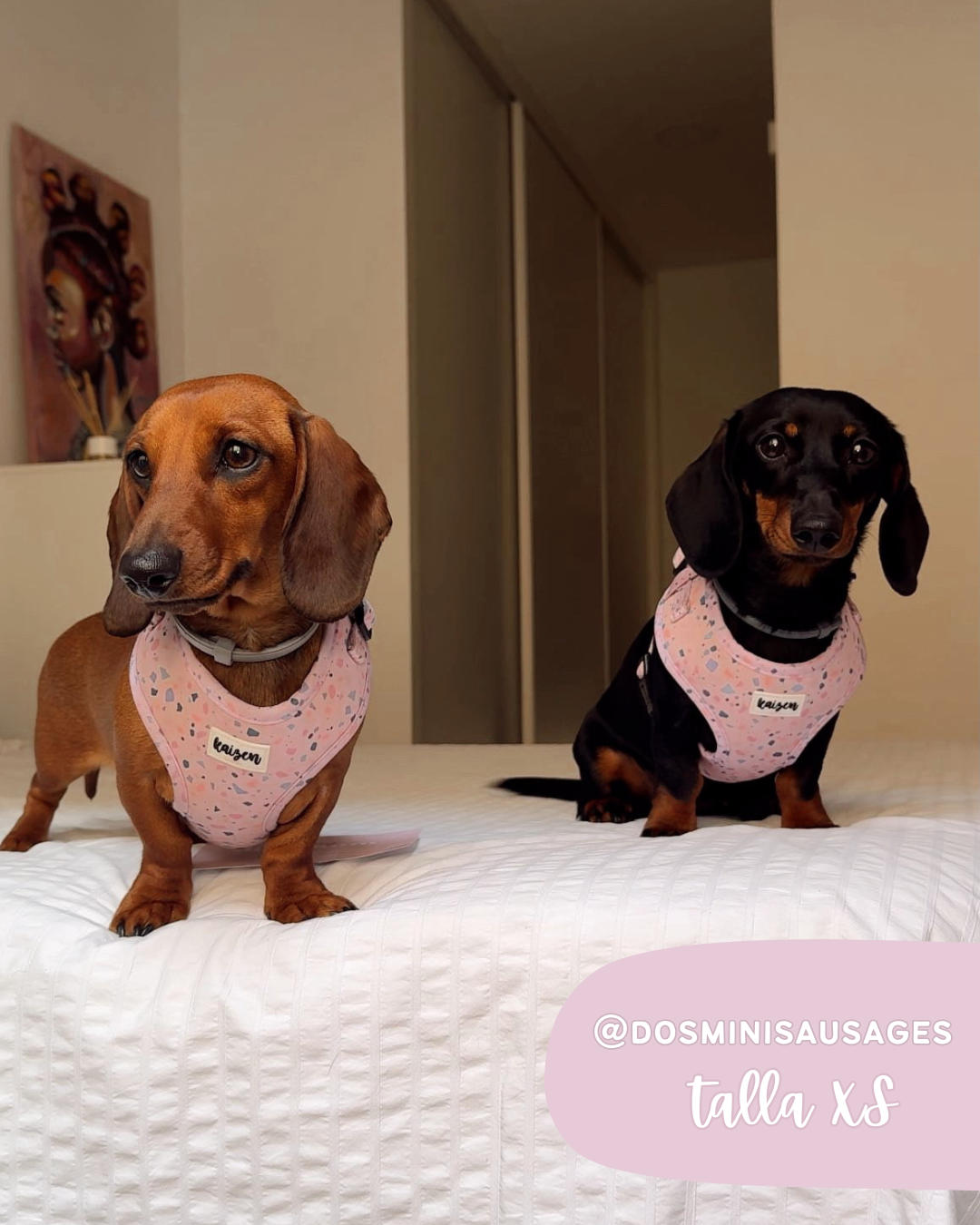 Arnés colección TERRAZZO