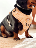 Arnés colección SIENNA